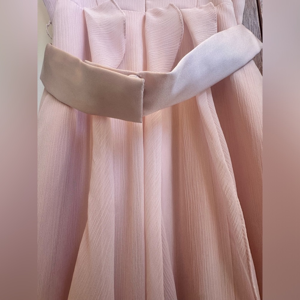 White By Vera Wang brand new with tags blush pink size 2 gown with satin belt - Picture 10 of 11
